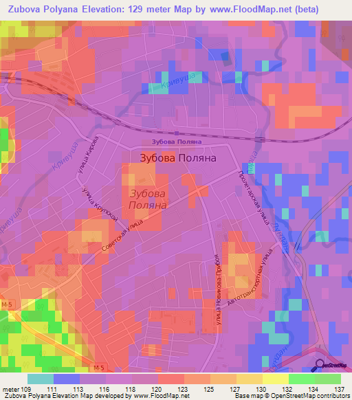 Zubova Polyana,Russia Elevation Map