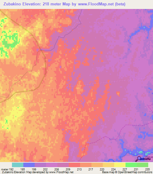 Zubakino,Russia Elevation Map