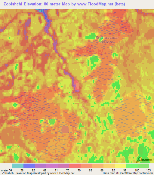 Zobishchi,Russia Elevation Map