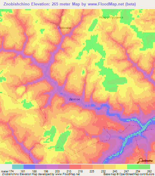 Znobishchino,Russia Elevation Map