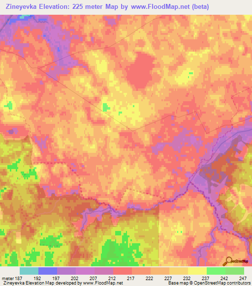 Zineyevka,Russia Elevation Map