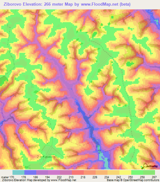 Ziborovo,Russia Elevation Map