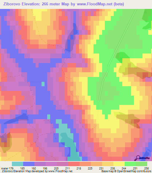 Ziborovo,Russia Elevation Map