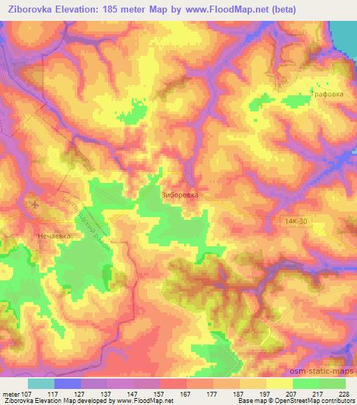 Ziborovka,Russia Elevation Map