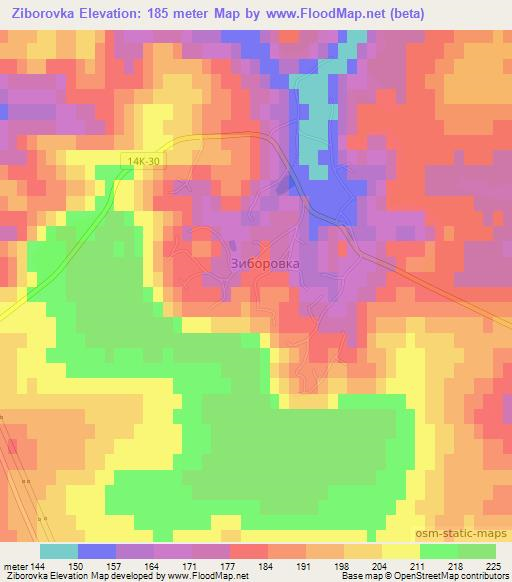 Ziborovka,Russia Elevation Map