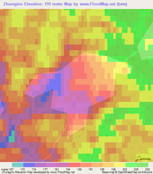 Zhuregino,Russia Elevation Map