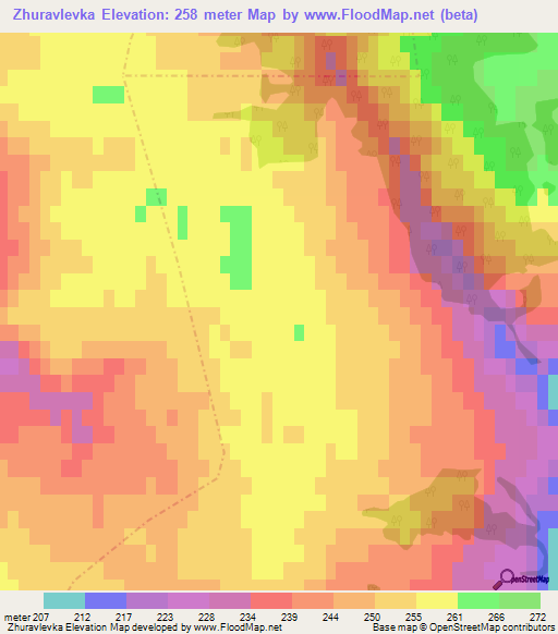 Zhuravlevka,Russia Elevation Map