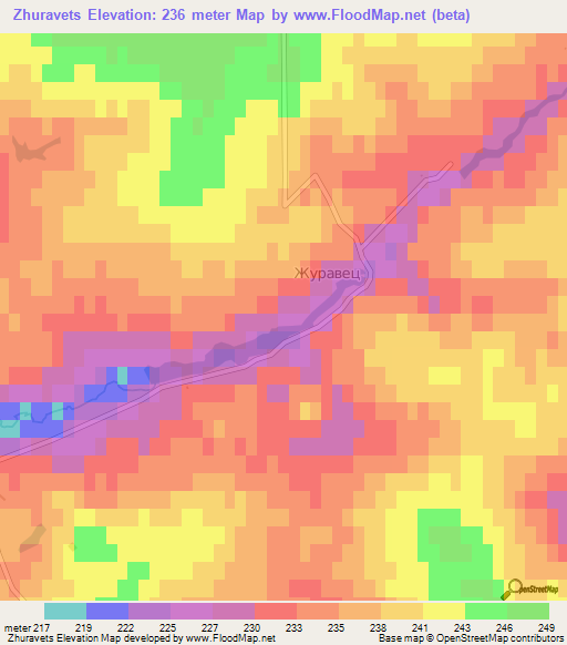 Zhuravets,Russia Elevation Map