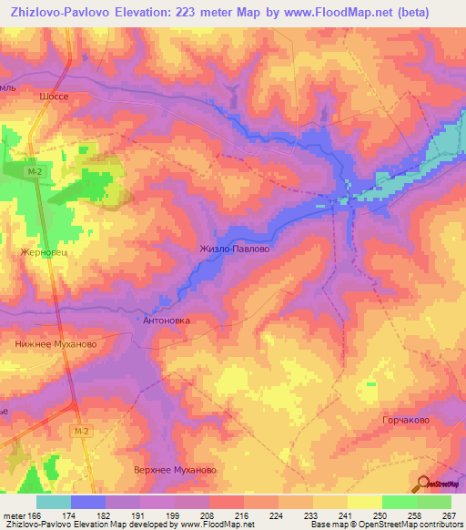 Zhizlovo-Pavlovo,Russia Elevation Map