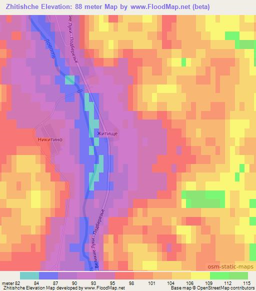 Zhitishche,Russia Elevation Map