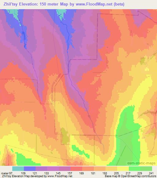 Zhil'tsy,Russia Elevation Map