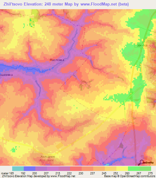 Zhil'tsovo,Russia Elevation Map