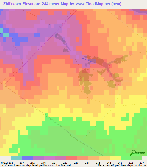 Zhil'tsovo,Russia Elevation Map