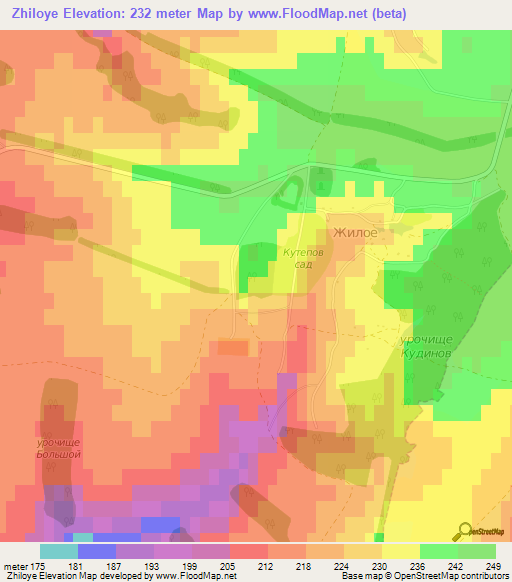 Zhiloye,Russia Elevation Map