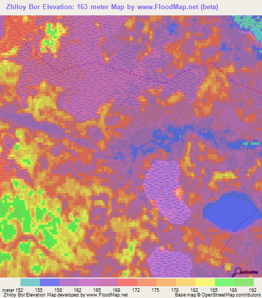 Zhiloy Bor,Russia Elevation Map