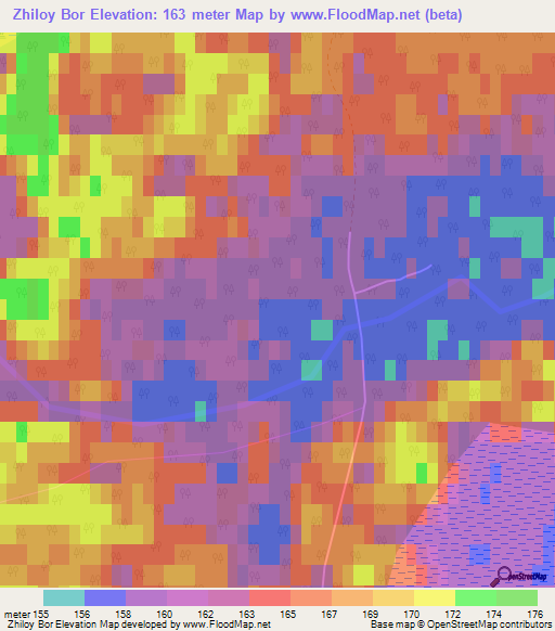 Zhiloy Bor,Russia Elevation Map