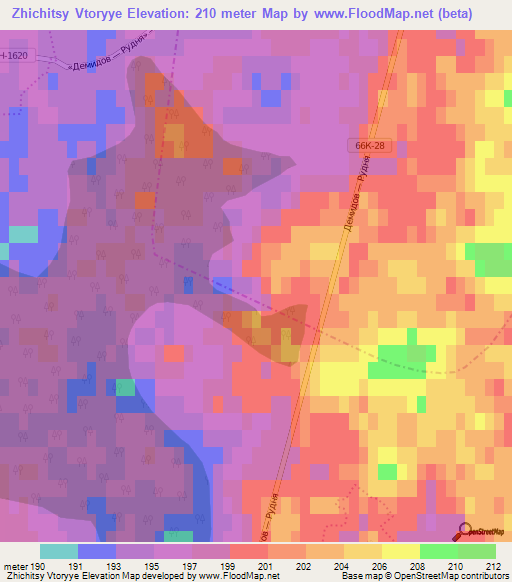 Zhichitsy Vtoryye,Russia Elevation Map