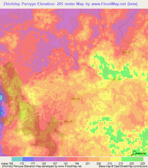 Zhichitsy Pervyye,Russia Elevation Map