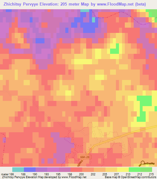 Zhichitsy Pervyye,Russia Elevation Map