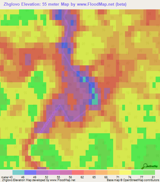 Zhglovo,Russia Elevation Map