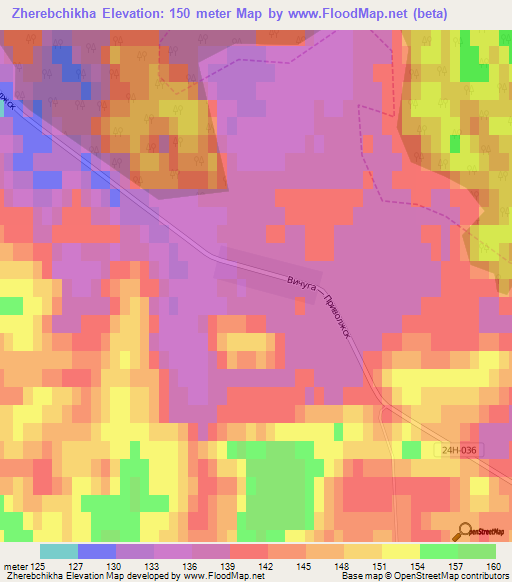 Zherebchikha,Russia Elevation Map