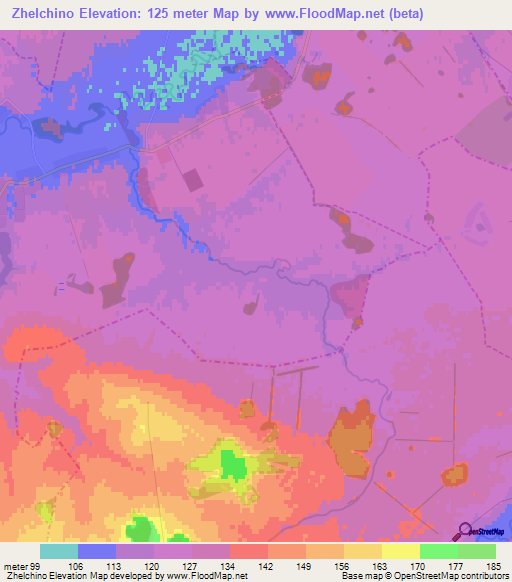 Zhelchino,Russia Elevation Map