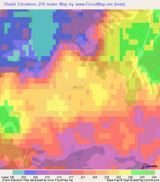 Zharki,Russia Elevation Map