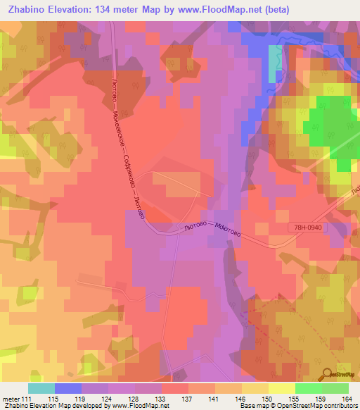 Zhabino,Russia Elevation Map