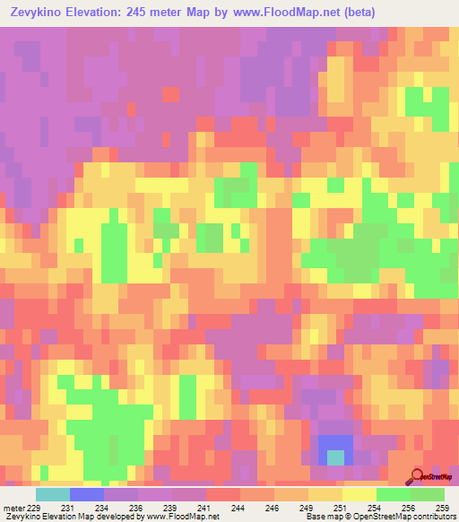 Zevykino,Russia Elevation Map