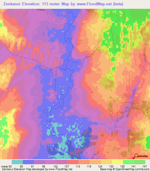 Zenkanur,Russia Elevation Map