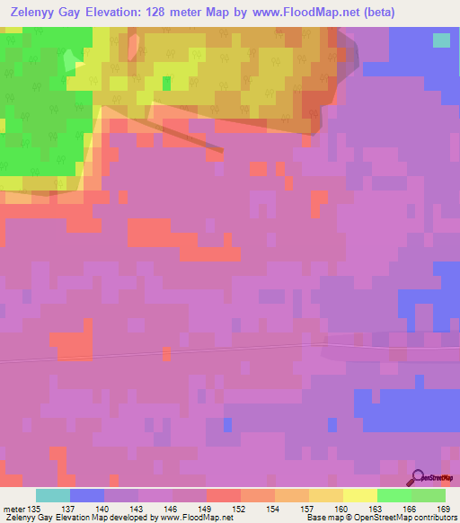 Zelenyy Gay,Russia Elevation Map