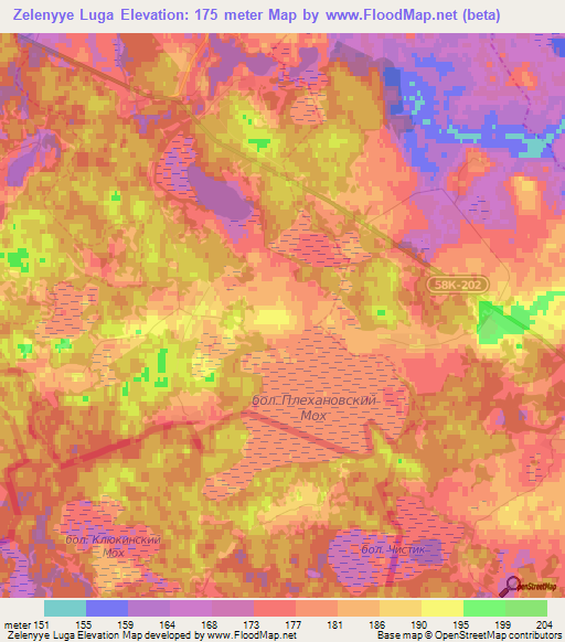 Zelenyye Luga,Russia Elevation Map