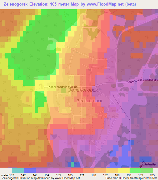 Zelenogorsk,Russia Elevation Map