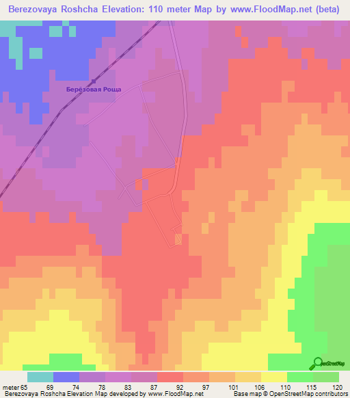 Berezovaya Roshcha,Russia Elevation Map