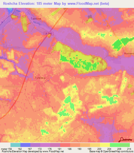 Roshcha,Russia Elevation Map