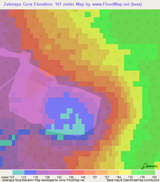 Zelenaya Gora,Russia Elevation Map