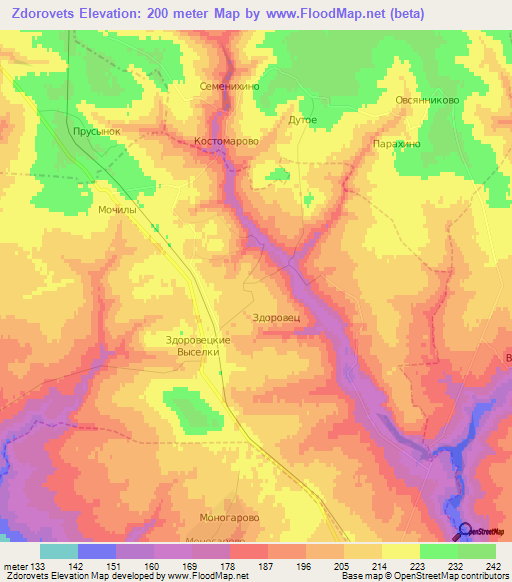 Zdorovets,Russia Elevation Map