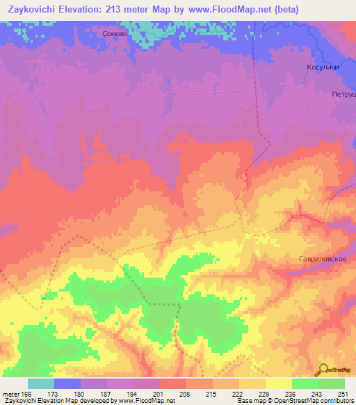 Zaykovichi,Russia Elevation Map