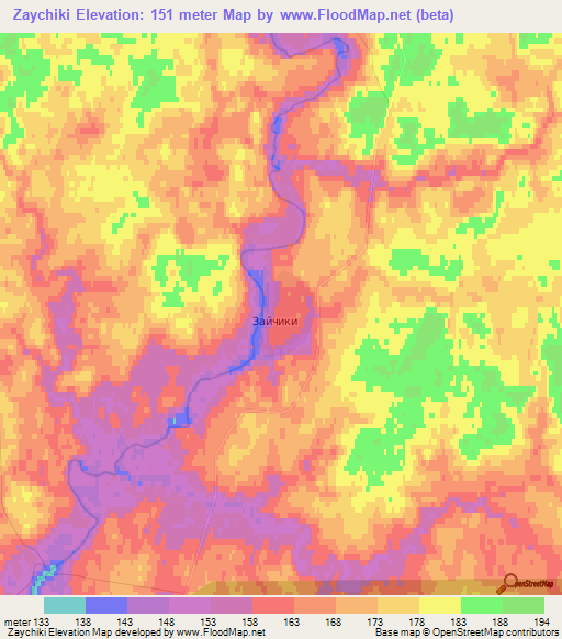 Zaychiki,Russia Elevation Map