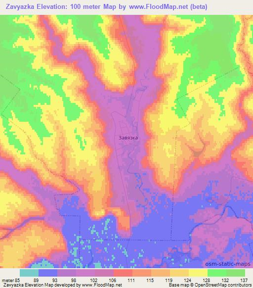 Zavyazka,Russia Elevation Map