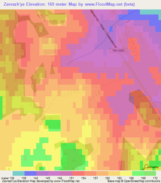 Zavrazh'ye,Russia Elevation Map