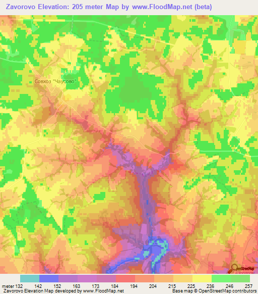 Zavorovo,Russia Elevation Map