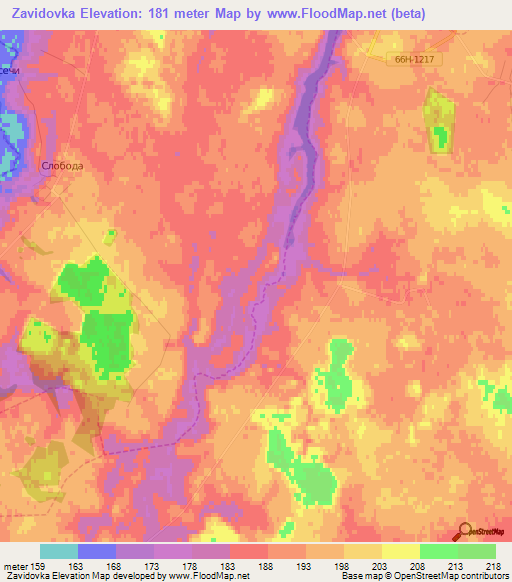 Zavidovka,Russia Elevation Map