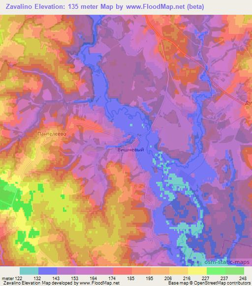 Zavalino,Russia Elevation Map