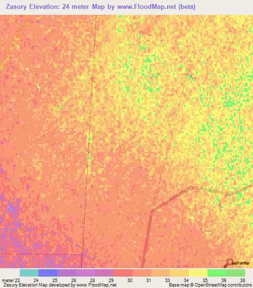 Zasury,Russia Elevation Map