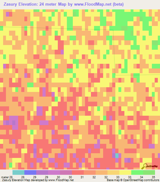 Zasury,Russia Elevation Map