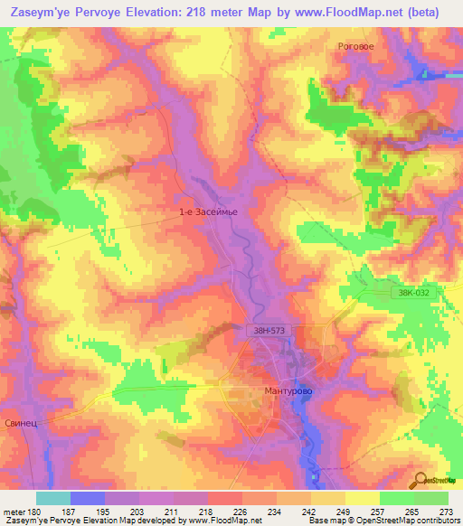 Zaseym'ye Pervoye,Russia Elevation Map