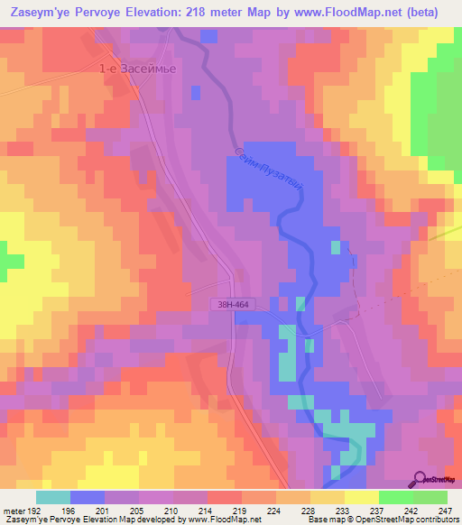 Zaseym'ye Pervoye,Russia Elevation Map