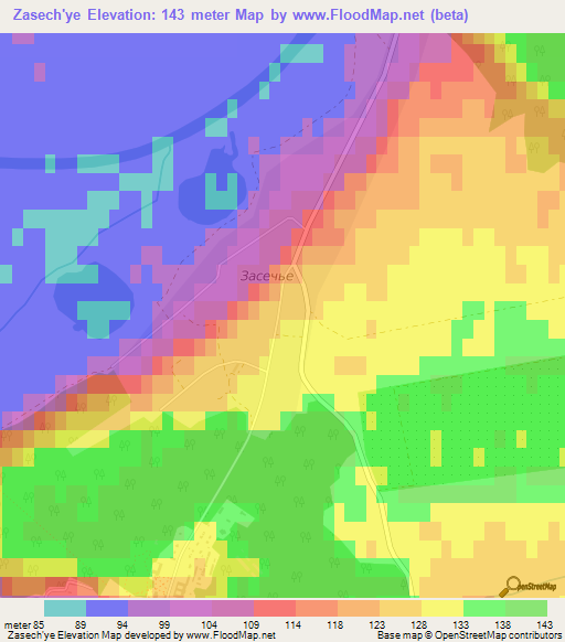 Zasech'ye,Russia Elevation Map