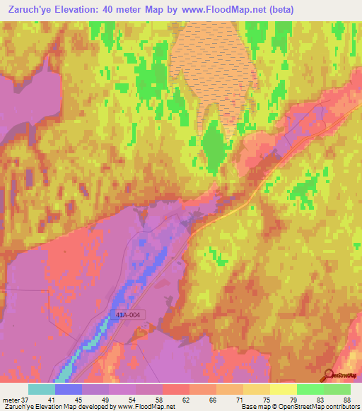 Zaruch'ye,Russia Elevation Map